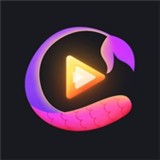 姐姐直播免费版