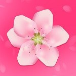 大香蕉影视apk下载大全