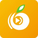 成全动漫视频在线观看下载