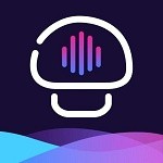 黄金网站APP在线观看