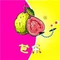 红桃影视播放器免费下载