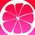 青柠直播免费观看日本免费版