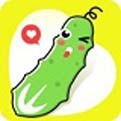 麻花视频3.2.2免广告版