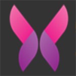 内涵直播下载安装