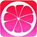 香蕉视频APP下载官方
